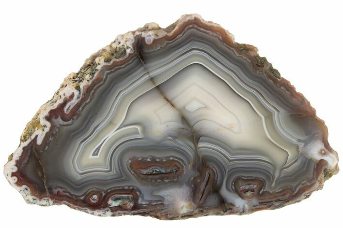 Polished Banded Agate Nodule Slice - Kerrouchen, Morocco #186960